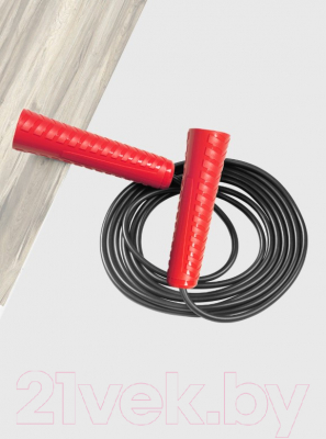 Скакалка PROFITNESSLAB 13904