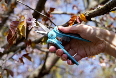 Набор садовых инструментов Plantic Light / 26273-01