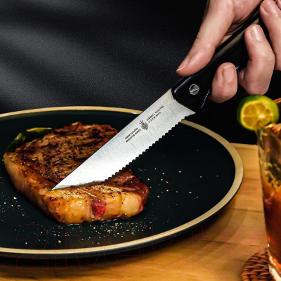 Набор ножей Kizer Begleiter BE0505G1