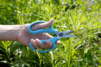 Садовые ножницы механические Plantic Light / 25276-01