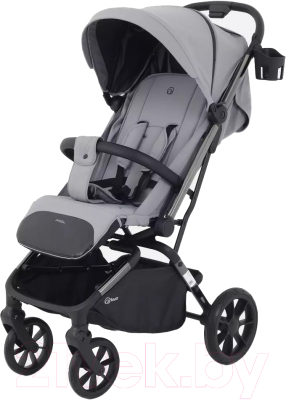 Детская прогулочная коляска Rant Pixel / RA401  - фото