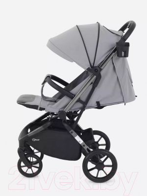 Детская прогулочная коляска Rant Pixel / RA401 