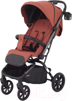 Детская прогулочная коляска Rant Pixel / RA401  - фото