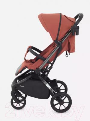 Детская прогулочная коляска Rant Pixel / RA401 