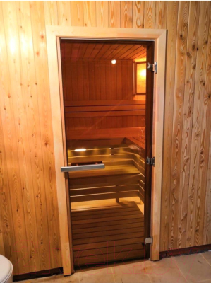 Стеклянная дверь для бани/сауны Doorwood 80x200 / DW00017 (бронза)