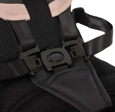 Трехколесный велосипед с ручкой Nuovita Bamzione BE3