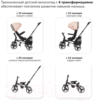 Трехколесный велосипед с ручкой Nuovita Bamzione BE3