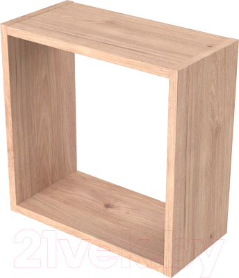 Полка-ячейка MySTAR Сноули ИВ-121.08 - фото