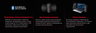 Портативная колонка A4Tech Bloody S6 Tube