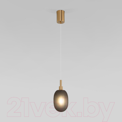 Потолочный светильник Евросвет 50266/1