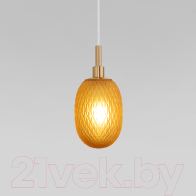 Потолочный светильник Евросвет 50266/1