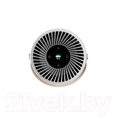 Очиститель воздуха SmartMi Air Purifier P2 / ZMKQJHQP21