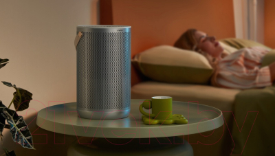 Очиститель воздуха SmartMi Air Purifier P2 / ZMKQJHQP21