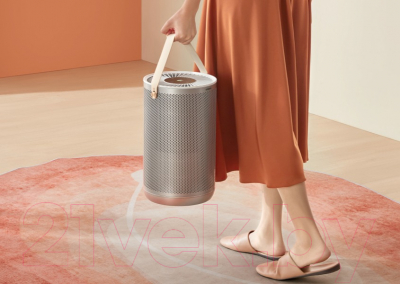 Очиститель воздуха SmartMi Air Purifier P2 / ZMKQJHQP21