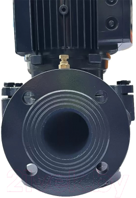 Циркуляционный насос Maxpump IL 50-220/11