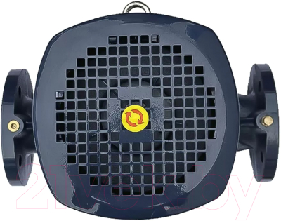 Циркуляционный насос Maxpump IL 50-220/11