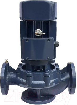 Циркуляционный насос Maxpump IL 65-310/30 - фото