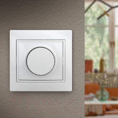 Диммер INTRO Plano 1-401-01 / Б0053935