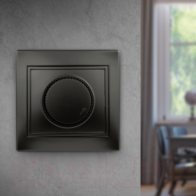 Диммер INTRO Plano 1-401-05 / Б0053938