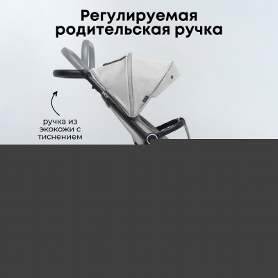 Детская прогулочная коляска Bubago Model Bass / BG 130-1