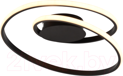 Потолочный светильник Rivoli Nelly 6143-101 / Б0062232 - фото