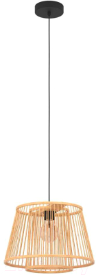 Потолочный светильник Eglo Hykeham 43852  - фото