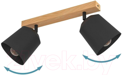 Спот Eglo Cotorro 900432