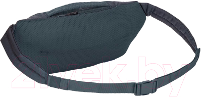 Сумка на пояс Thule Subterra 2 Sling Bag TSS403DSL / 3205067