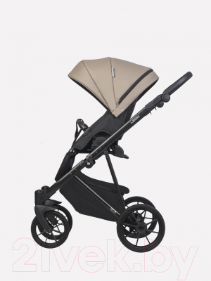 Детская универсальная коляска Riko Basic Leon 2 в 1