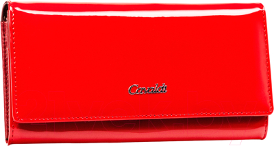 Портмоне Cedar 4U Cavaldi / PX24-JMP - фото