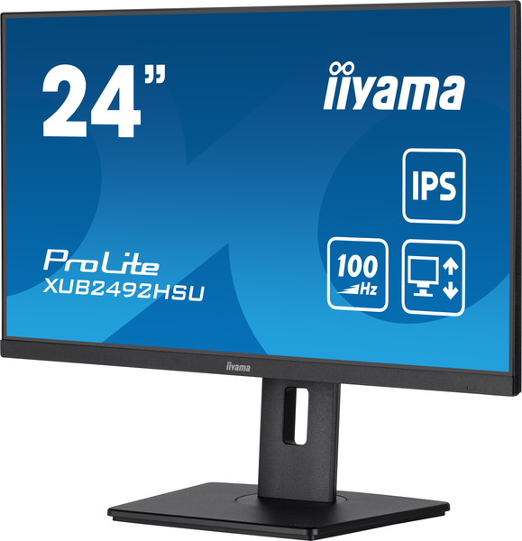 Монитор Iiyama ProLite XUB2492HSU-B6