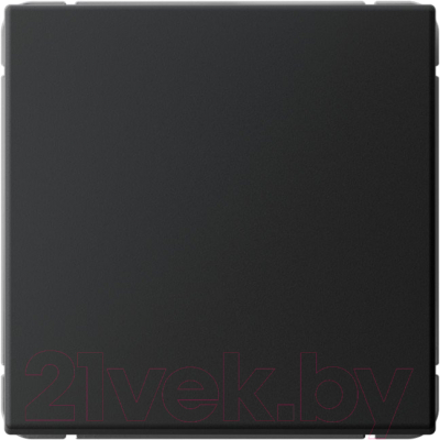 Выключатель Systeme (Schneider) Electric ArtGallery GAL001071  - фото