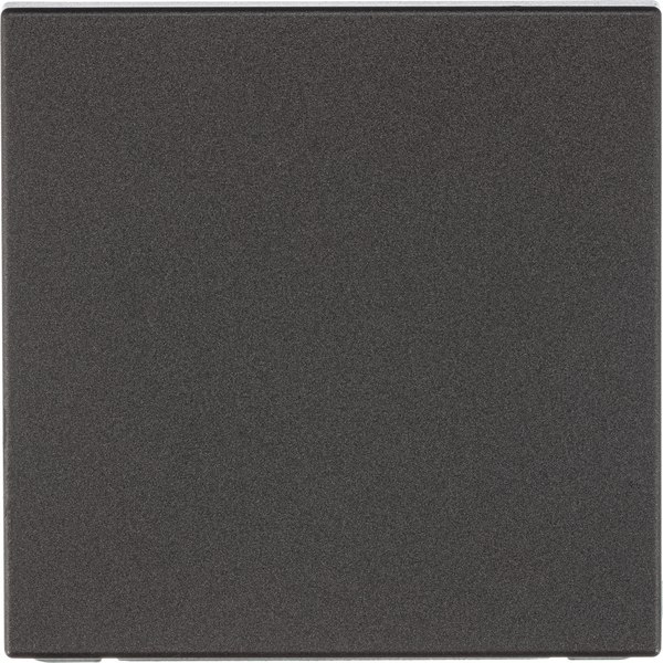 Выключатель Systeme (Schneider) Electric ArtGallery GAL000615  - фото