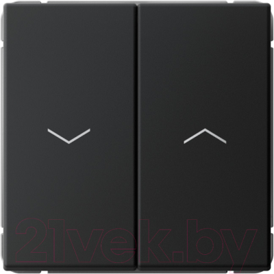 Выключатель Systeme Electric ArtGallery GAL001019 - фото