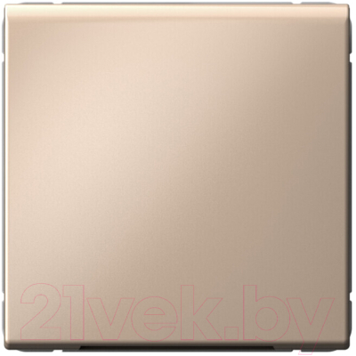 Вывод кабеля Systeme (Schneider) Electric ArtGallery GAL001299  - фото