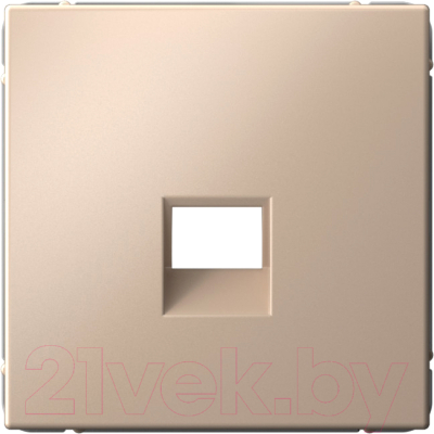 Лицевая панель для розетки Systeme (Schneider) Electric ArtGallery GAL001284 - фото