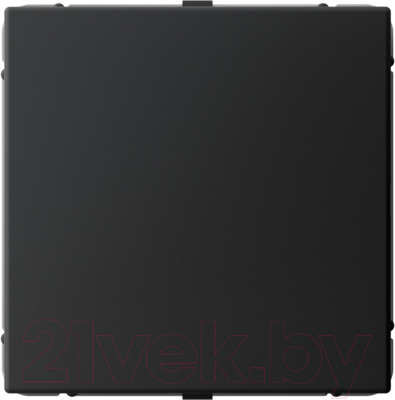 Заглушка для розетки Systeme Electric ArtGallery GAL001009 - фото