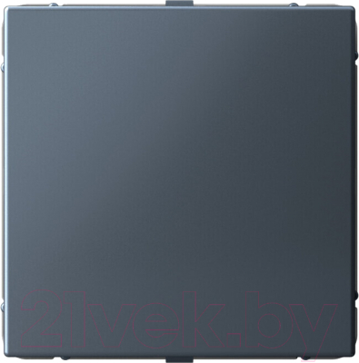 Заглушка для розетки Systeme Electric ArtGallery GAL000709 - фото