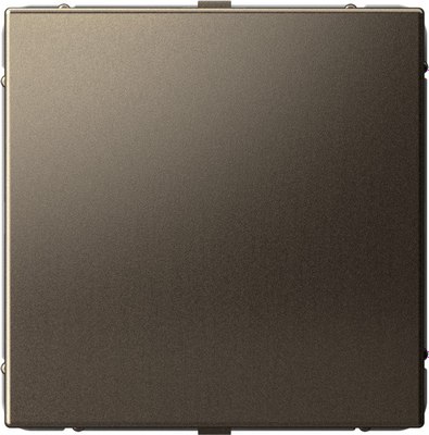 Декоративная заглушка для розетки Systeme (Schneider) Electric ArtGallery GAL000609 - фото