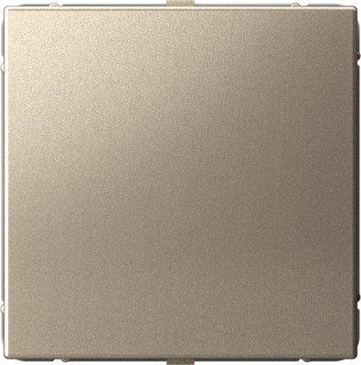 Декоративная заглушка для розетки Systeme (Schneider) Electric ArtGallery GAL000509  - фото