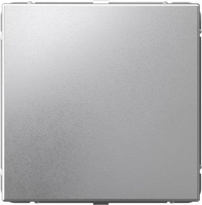 Декоративная заглушка для розетки Systeme (Schneider) Electric ArtGallery GAL000309 - фото