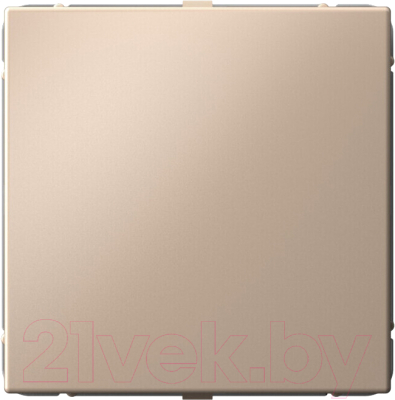 Заглушка для розетки Systeme Electric ArtGallery GAL001209 - фото