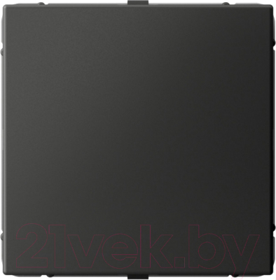 Заглушка для розетки Systeme Electric ArtGallery GAL001409 - фото