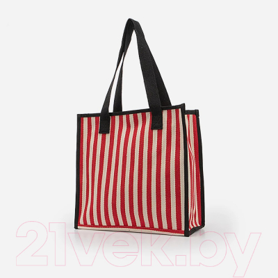 Пляжная сумка Mr.Bag 172-FH3432-RED