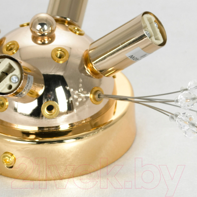 Люстра Lussole LSP-8781