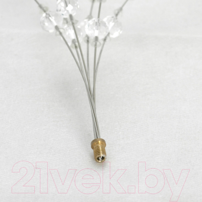 Люстра Lussole LSP-8781