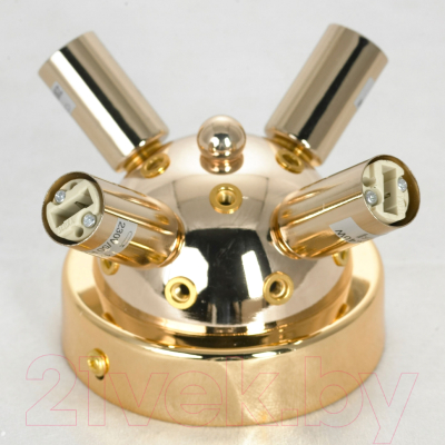 Люстра Lussole LSP-8781