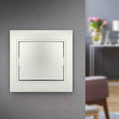 Выключатель INTRO Plano 1-101-06 / Б0053726