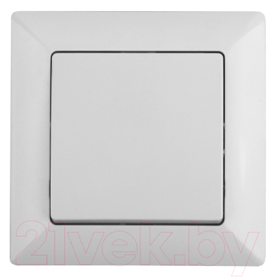 Выключатель INTRO Solo 4-101-01 / Б0053540 - фото