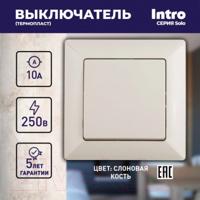 Выключатель INTRO Solo 4-101-02 / Б0053542